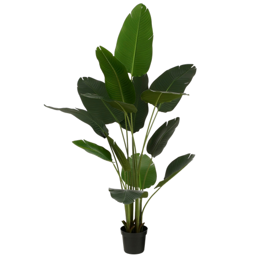 Kunstplant in Pot 'Bananenboom'- H180 x Ø30 cm - Groen