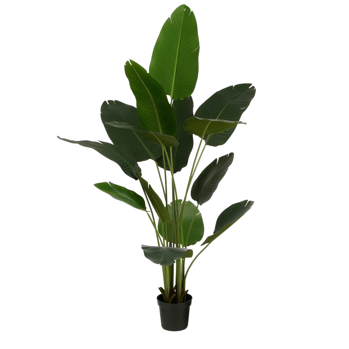 Artificial plant in Pot 'Banana Tree' - H180 x Ø30 cm - Green