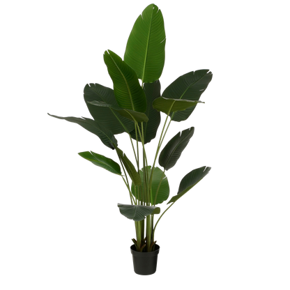 Artificial plant in Pot 'Banana Tree' - H180 x Ø30 cm - Green