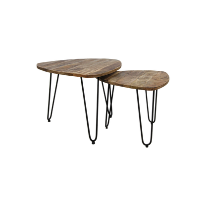 Coffee table set 'Dexter' - 2-piece - Ø60 cm - Mango wood/Iron - Natural/Black