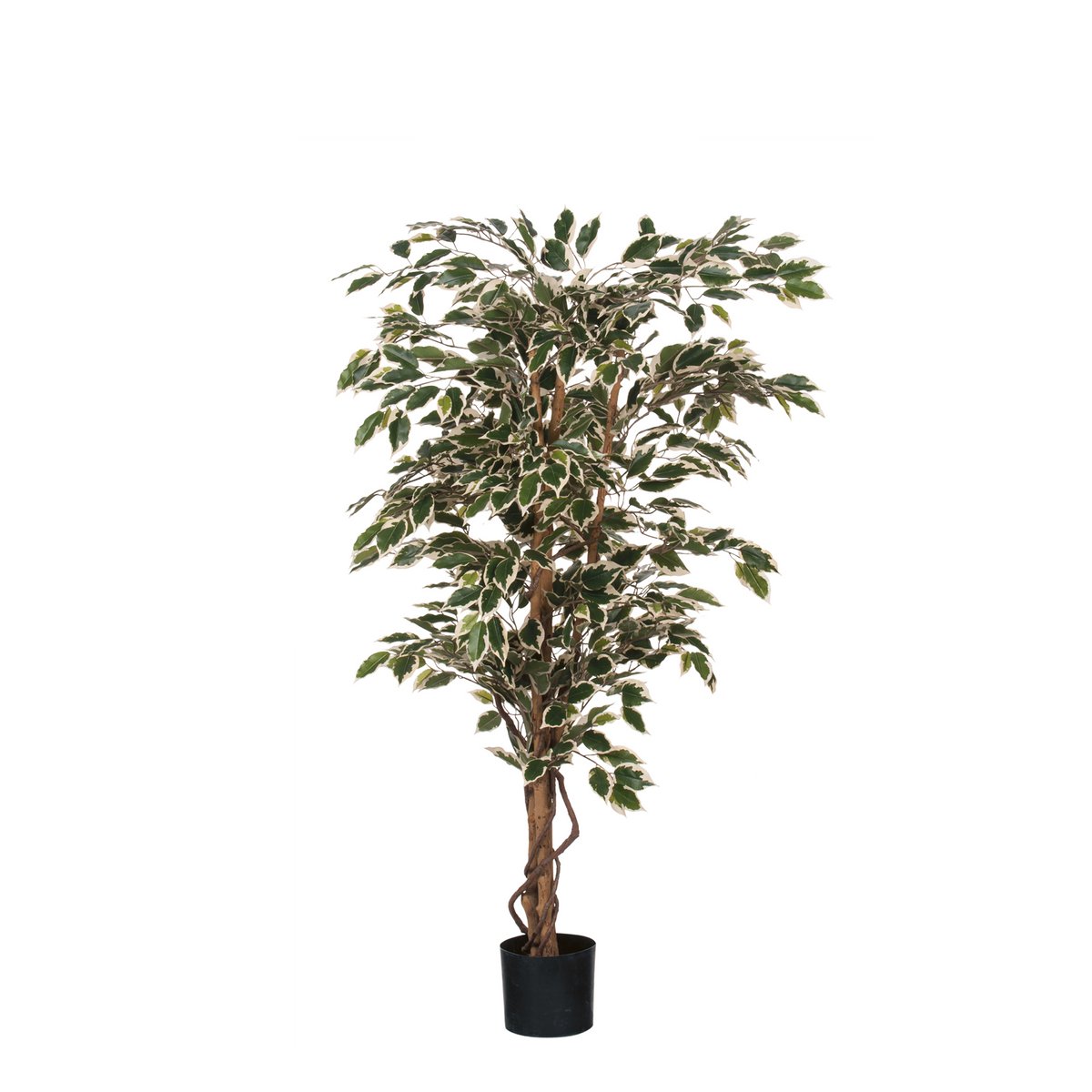 Künstliche Pflanze 'Ficus' - H150 x Ø75 cm - Grün Bunt