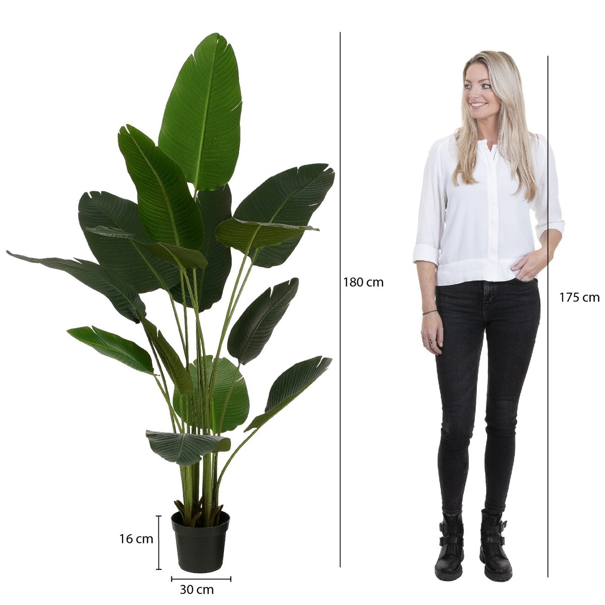 Artificial plant in Pot 'Banana Tree' - H180 x Ø30 cm - Green