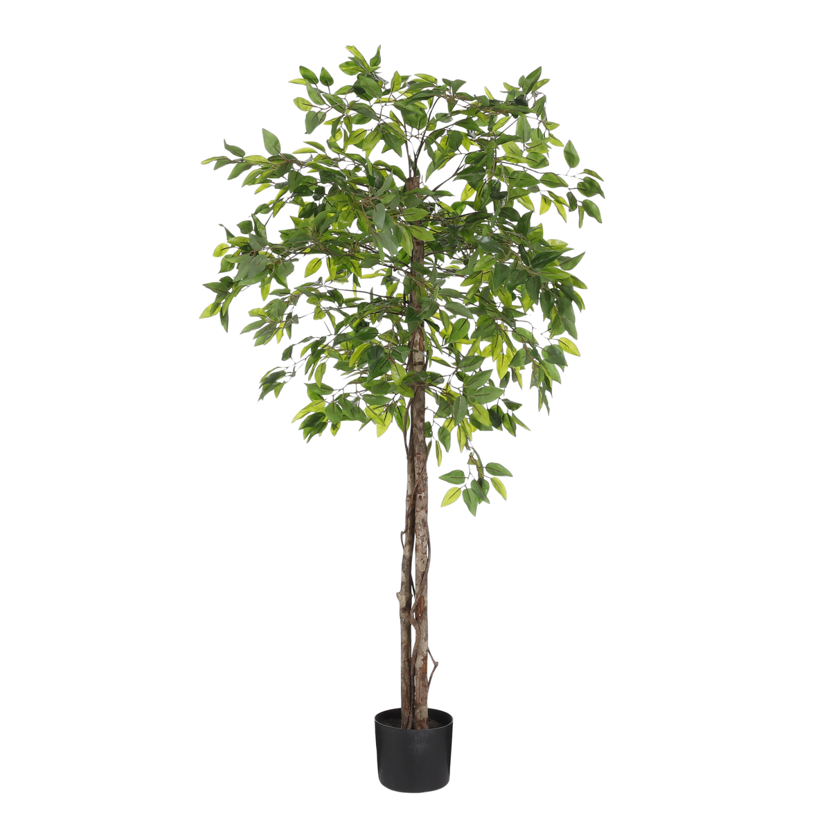 Künstliche Pflanze im Blumentopf 'Ficus' - H150 x Ø50 cm - Grün