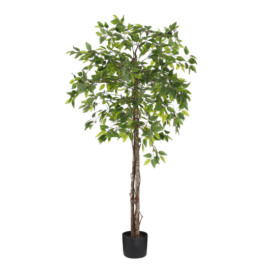 Artificial plant in flower pot 'Ficus' - H150 x Ø50 cm - Green