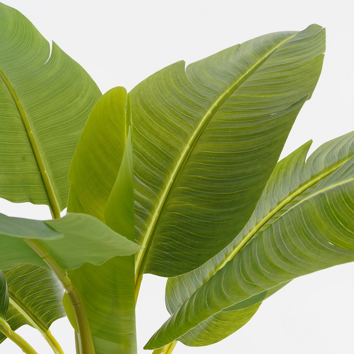 Artificial plant in Pot 'Banana Tree' - H155 x Ø90 cm - Green