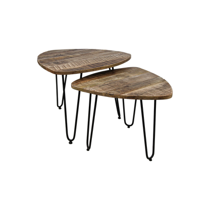 Coffee table set 'Dexter' - 2-piece - Ø60 cm - Mango wood/Iron - Natural/Black