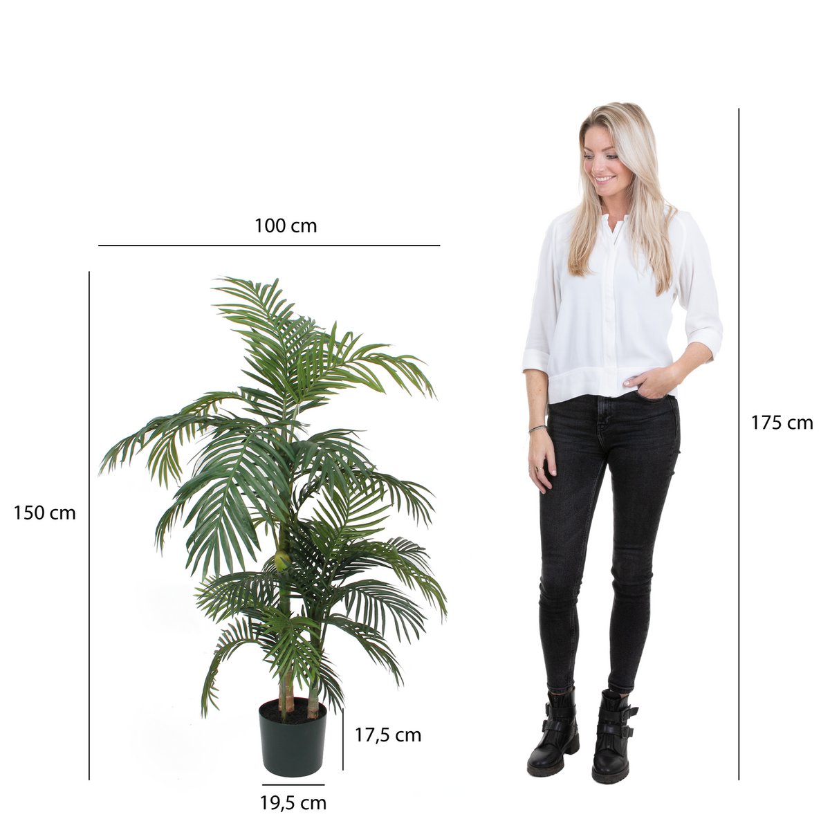 Künstliche Pflanze 'Areca-Palme' - H150 x Ø100 cm - Grün