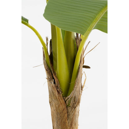 Artificial plant in Pot 'Banana Tree' - H155 x Ø90 cm - Green