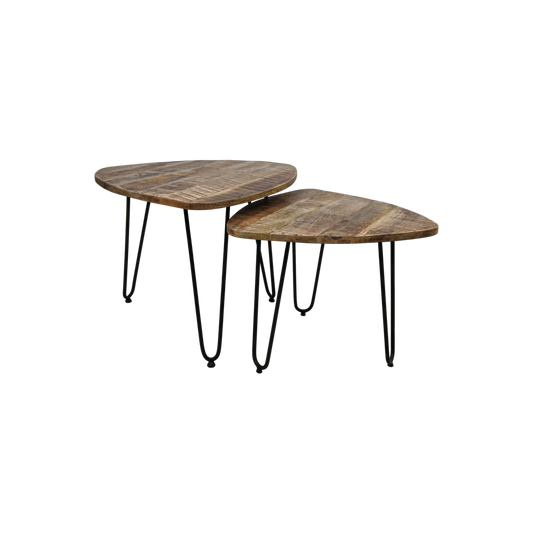 Coffee table set 'Dexter' - 2-piece - Ø60 cm - Mango wood/Iron - Natural/Black