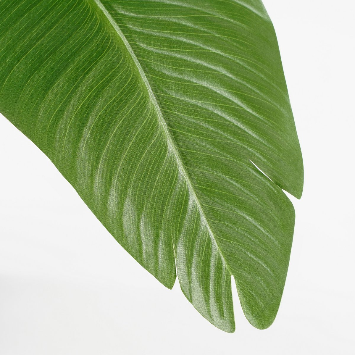 Artificial plant in Pot 'Banana Tree' - H180 x Ø30 cm - Green