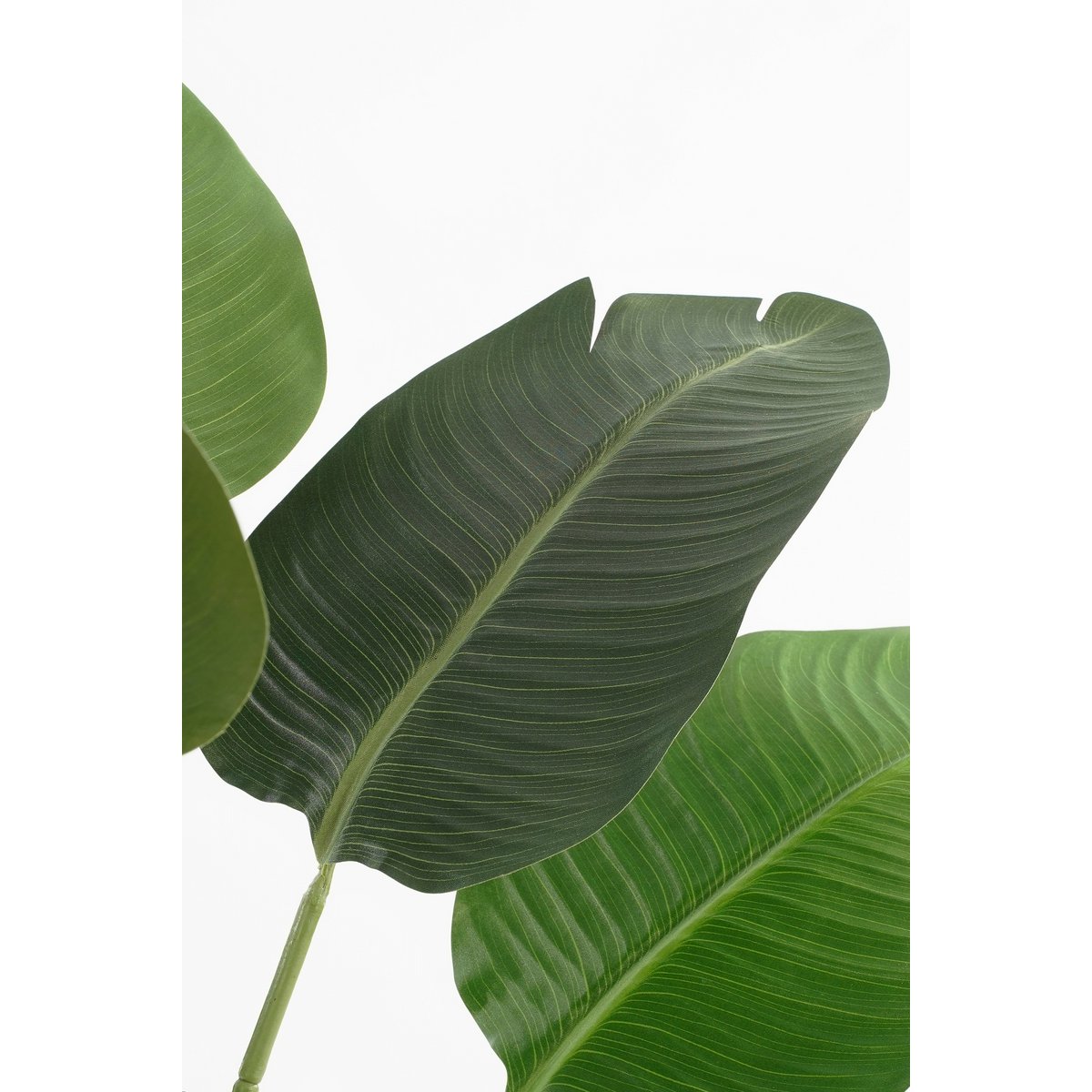 Artificial plant in Pot 'Banana Tree' - H180 x Ø30 cm - Green